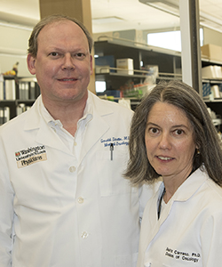 Personalized melanoma vaccines developed at Washington University in St. Louis have been shown in a small clinical trial to marshal a powerful immune response against unique mutations in patients’ tumors. Pictured are Gerald Linette, MD, PhD, and Beatriz Carreno, PhD, who led the team that developed the vaccines.